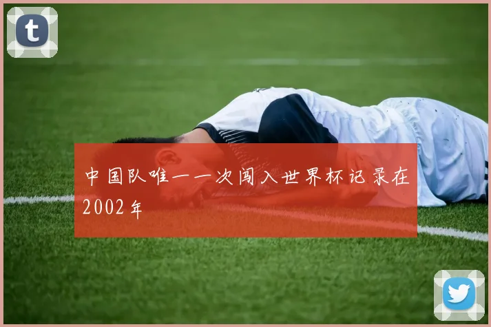 中国队唯一一次闯入世界杯记录在2002年