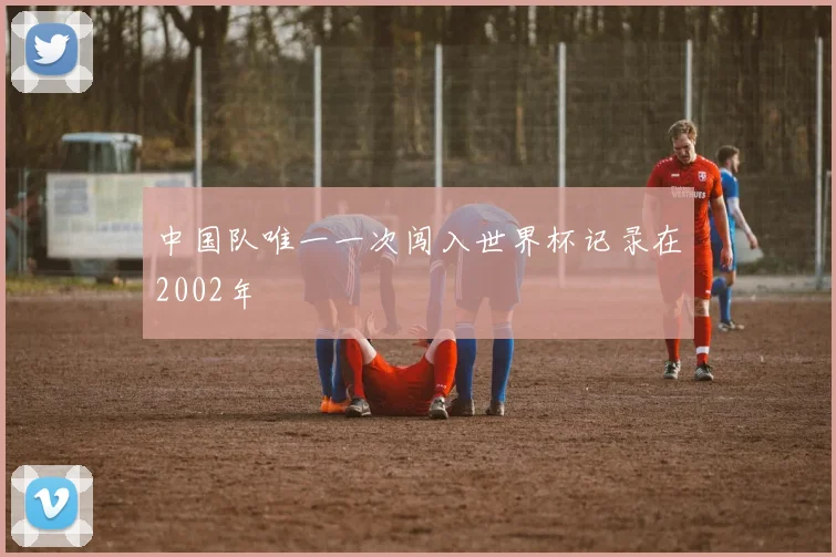 中国队唯一一次闯入世界杯记录在2002年