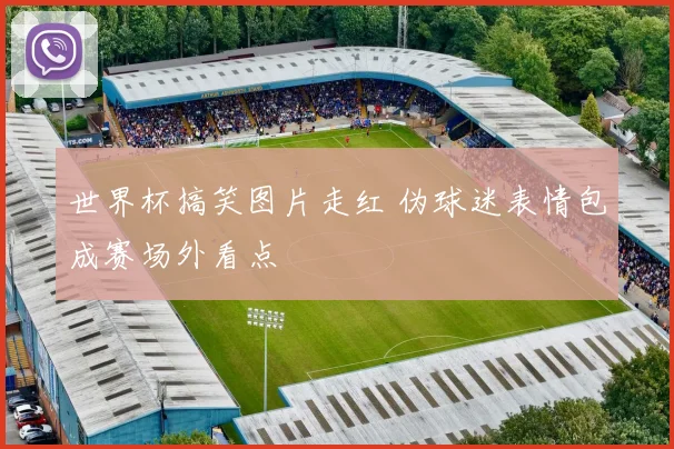 世界杯搞笑图片走红 伪球迷表情包成赛场外看点