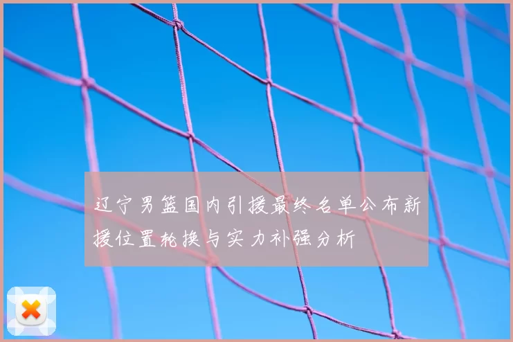 辽宁男篮国内引援最终名单公布新援位置轮换与实力补强分析