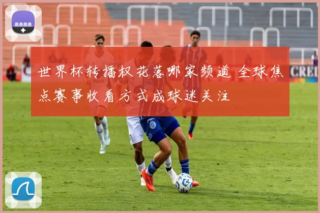 世界杯转播权花落哪家频道 全球焦点赛事收看方式成球迷关注