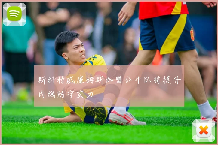 斯科特威廉姆斯加盟公牛队将提升内线防守实力