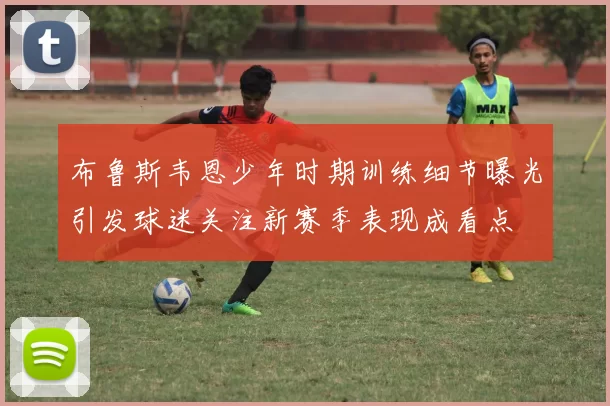 布鲁斯韦恩少年时期训练细节曝光引发球迷关注新赛季表现成看点