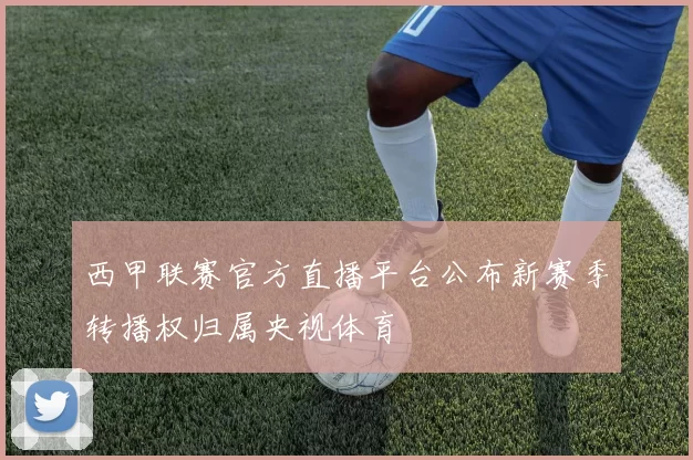 西甲联赛官方直播平台公布新赛季转播权归属央视体育